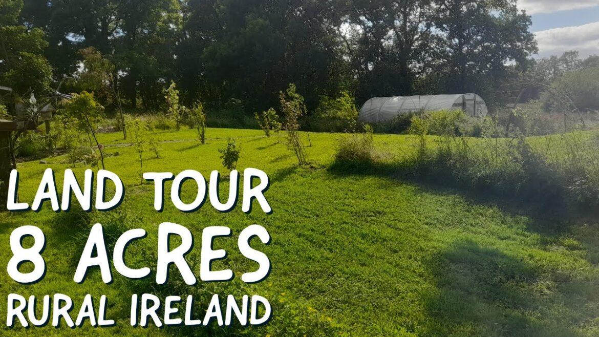 Moving to Ireland | 2 Years in | Full Tour | Land & Garden | Living in Rural Ireland | Off Grid