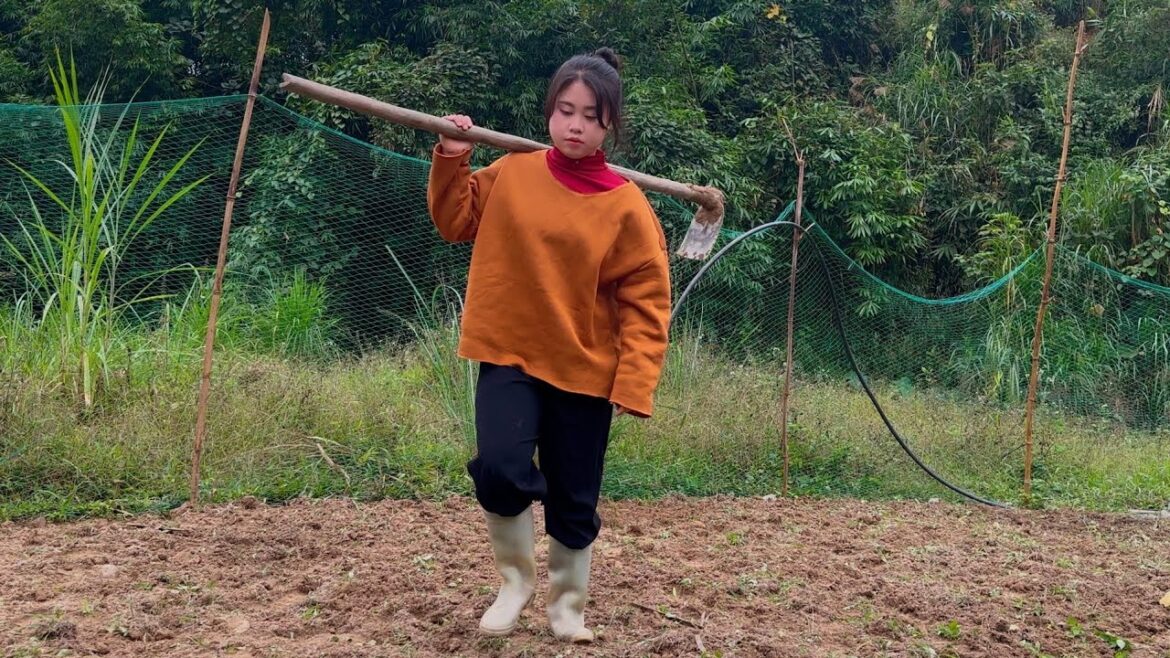 vegetable gardening with the beauty of nature watching nature @tieusingle