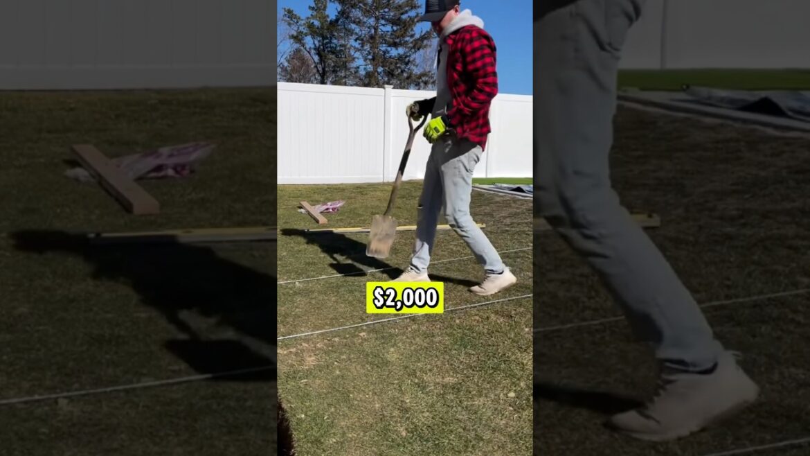 🫣 Can $2000 Fix the World’s Most Boring Garden?🤔 🫣 Can $2000 Fix the World’s Most Boring Garden?🤔