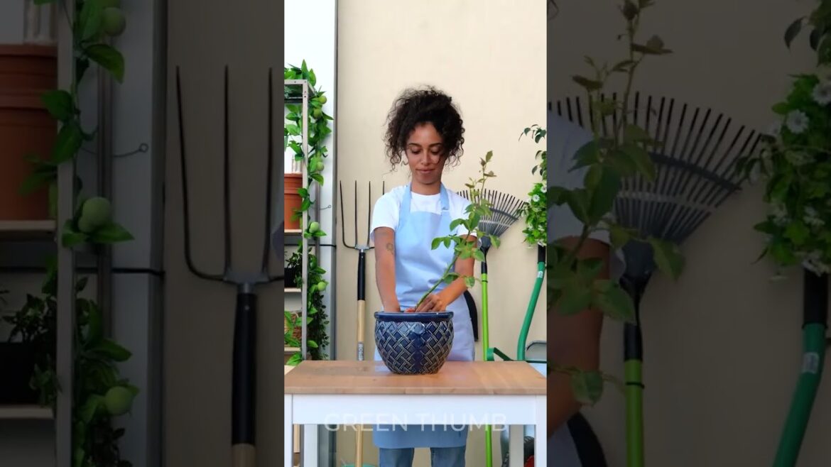 Surprising Planting Techniques to Have a Great Garden 🌿
