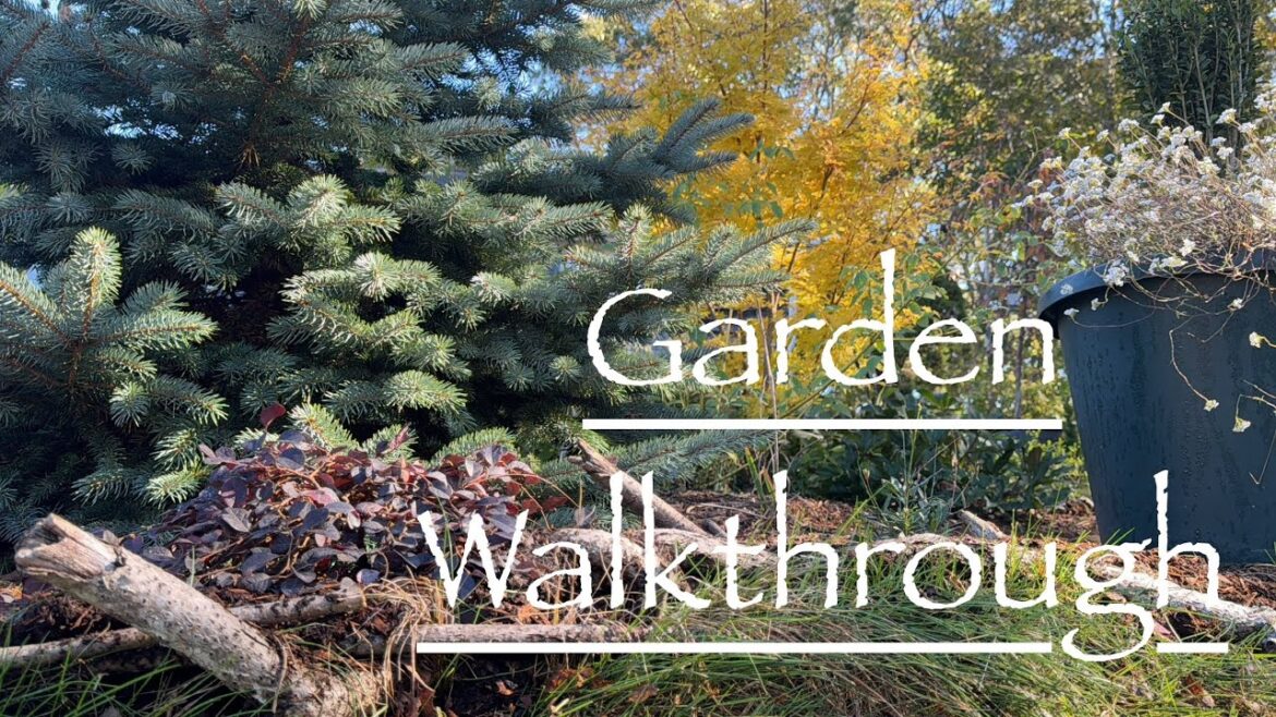Entryway Gardens Fall Walk & Talk - Ornamental Trees + Perennial Plants 🍁🍂Ep24// Garden Anthropology