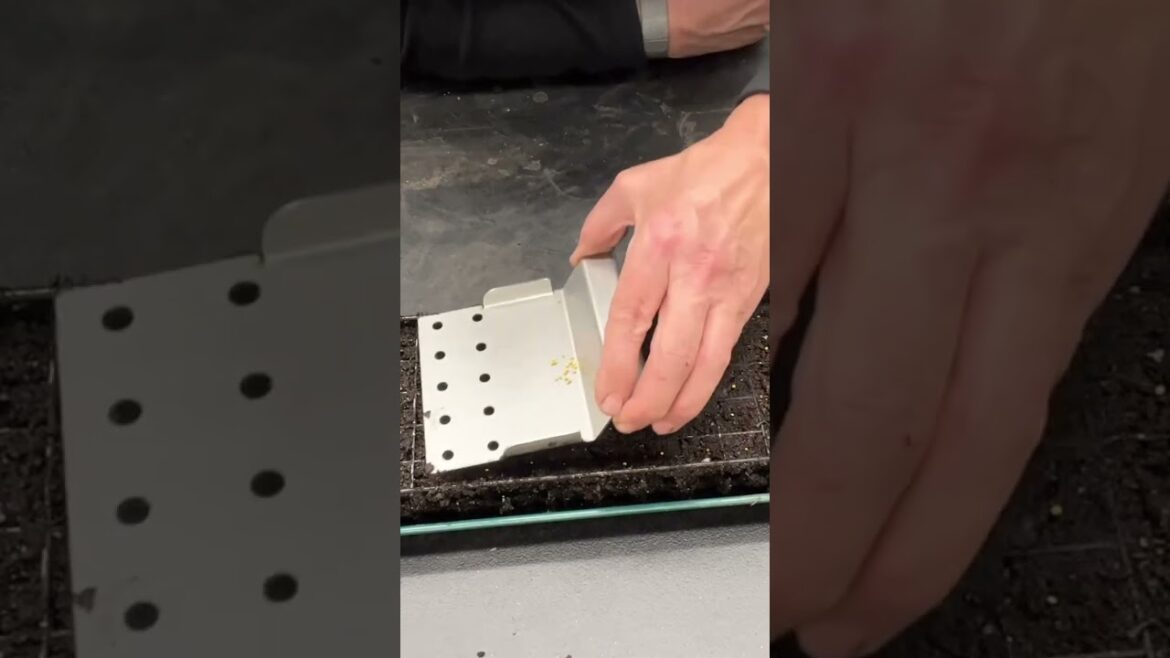 Comment Blocker and I’ll DM the link to the commercial soil blocking tool Comment Blocker and I’ll DM the link to the commercial soil blocking tool