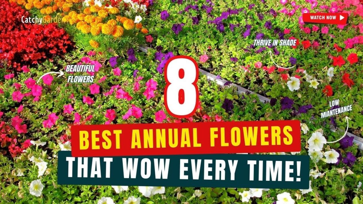 8 Best Annual Flowers That WOW Every Time! 🌸🌼🌺 // Gardening Ideas