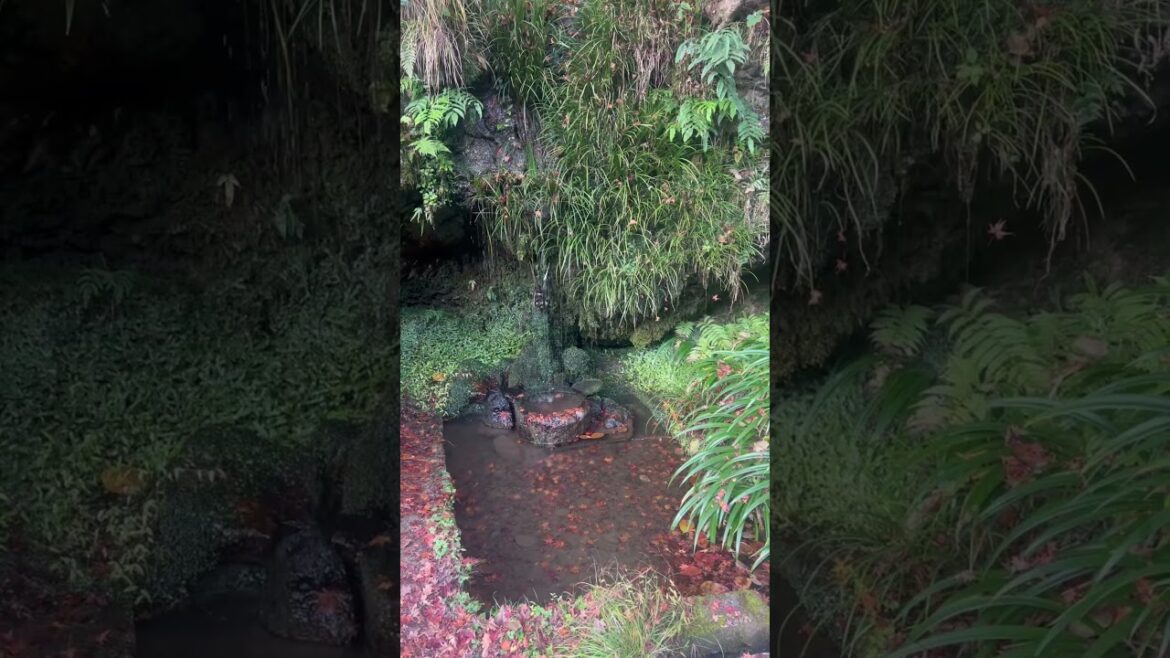 Japanese Water Temple #japan #japanese #waterfeatures #zen #temple #shrine #garden #landscape #art