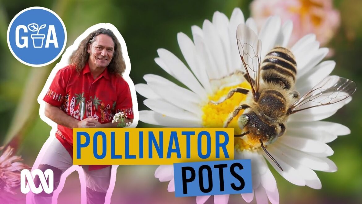 Build An Insect-Attracting Pollinator Pot | DIY Garden Projects | Gardening Australia