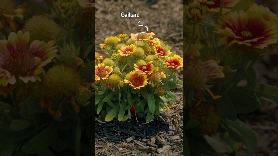 Imagine a World Without Plants 🌱 See How Beautiful Landscapes Transform Spaces!