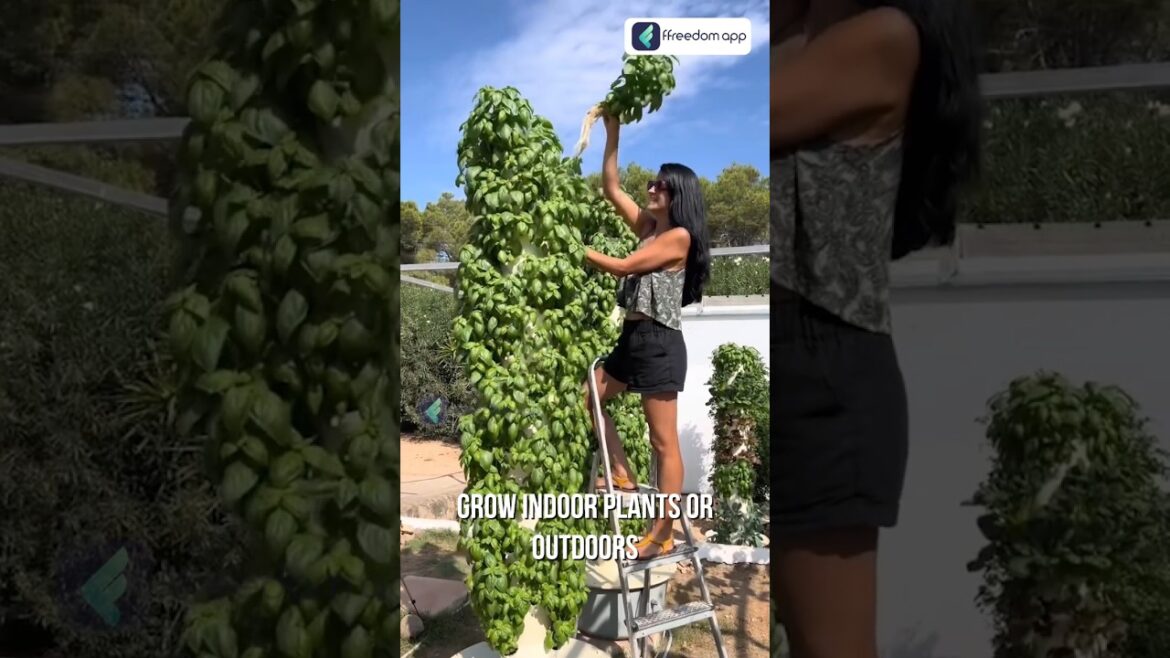Build a DIY Aeroponics Tower Garden At Your Home!! 🌱#shorts #aeroponics Build a DIY Aeroponics Tower Garden At Your Home!! 🌱#shorts #aeroponics