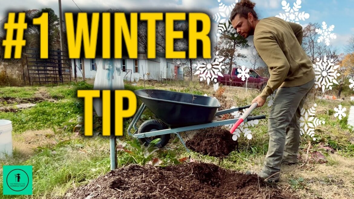 The #1 Thing You MUST Do for Your Garden Before Winter Hits
