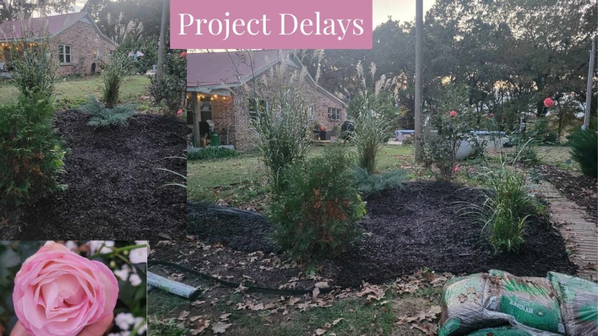 Fall Garden Update: Project Delays & Reality Check ๐ Fall Garden Update: Project Delays & Reality Check ๐