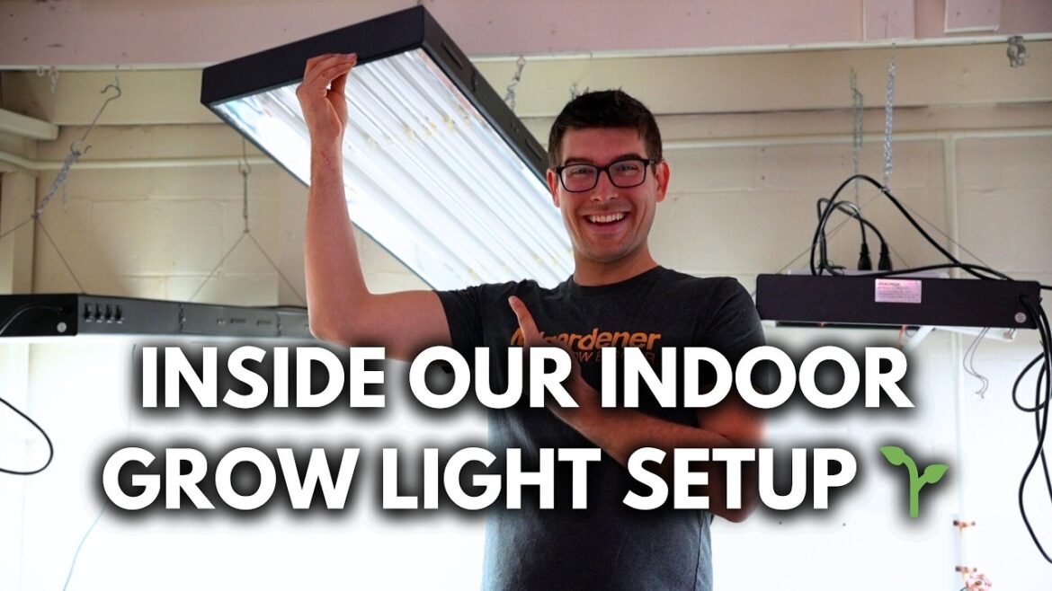 MIgardener: Our Complete Grow Light Setup Explained Our Complete Grow Light Setup Explained