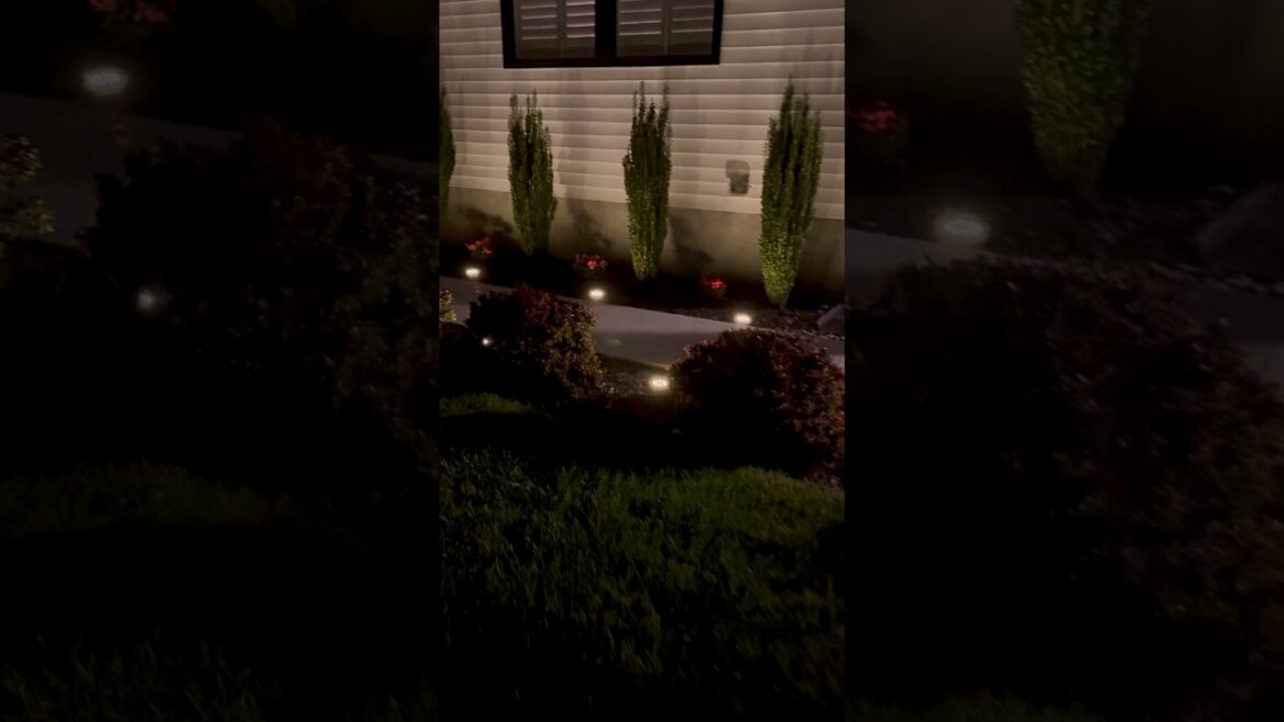 THE BEST SOLAR LIGHTS! 💡#backyard #backyarddesign #summertime