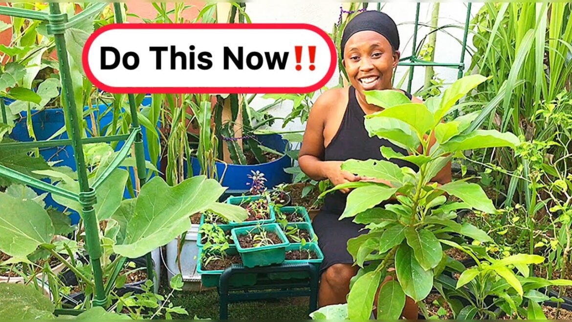Grow YOUR Own PRODUCTIVE Food Forest Now!