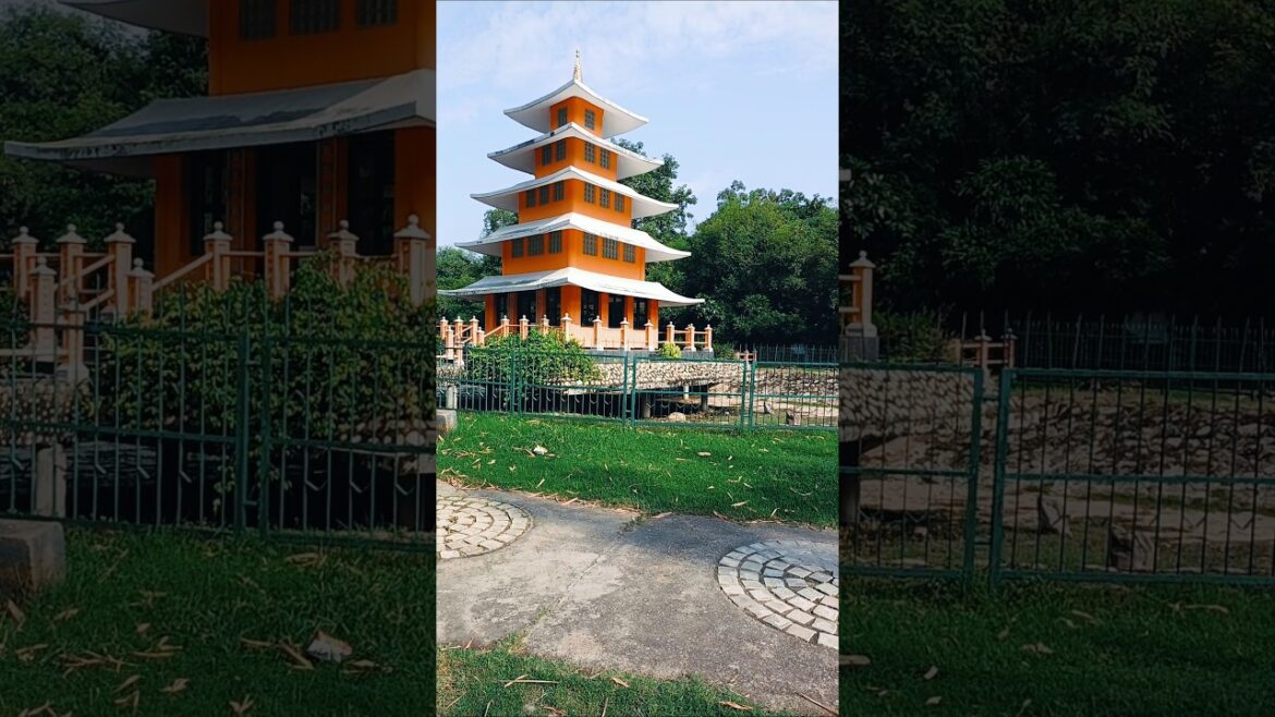 Japanese garden #ytshorts #viwes #viral#garden #video