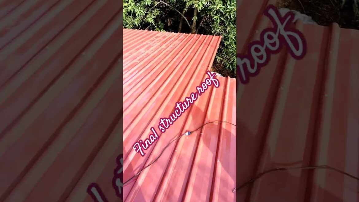 Final Roof Shed  #Short#Ytshort# YouTube Short# Grill Gate Design