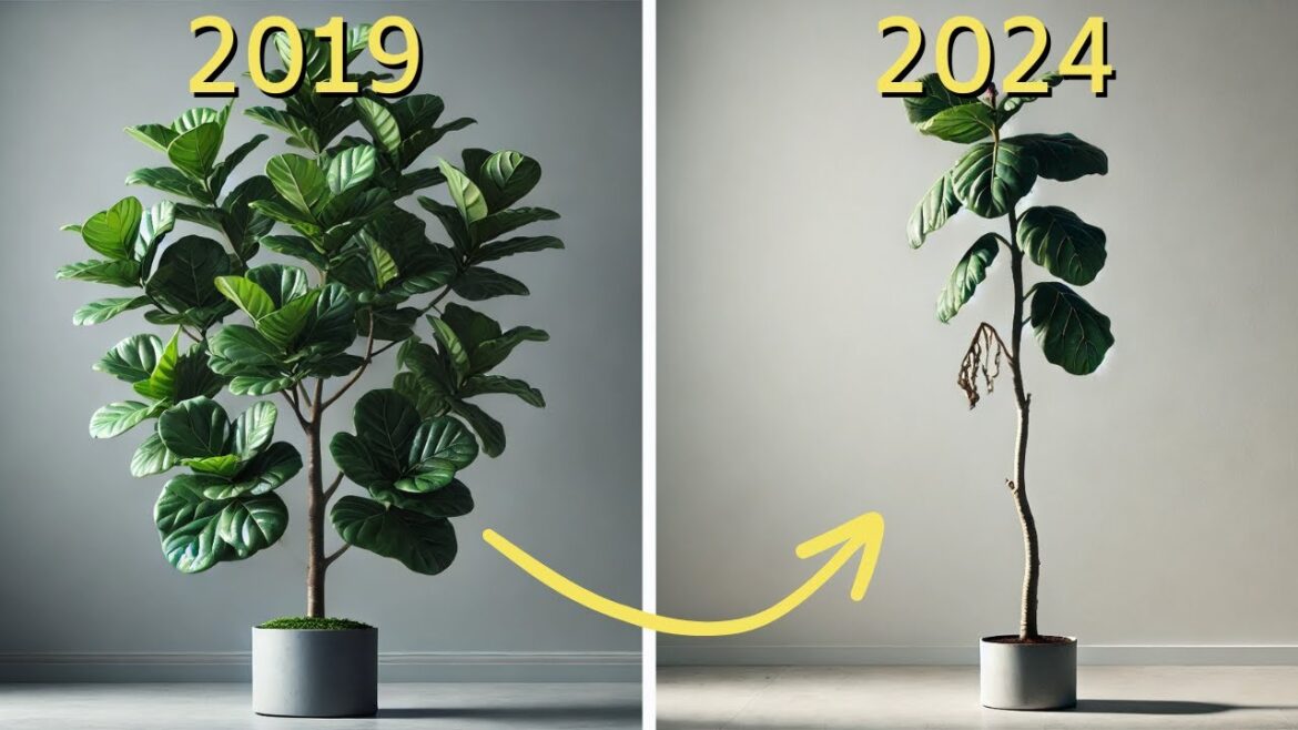 These 5 Houseplants Aren't Trendy Anymore🌱