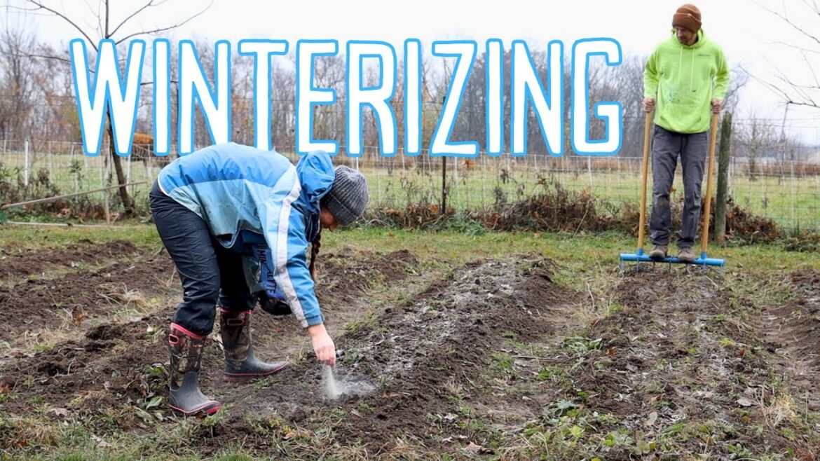 BIG PROJECT! A race before the COLD sets in! BIG PROJECT! A race before the COLD sets in!