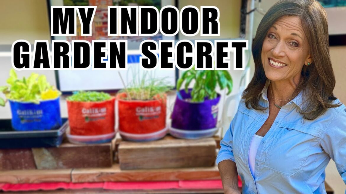 My 8-Minute Secret to a Thriving Indoor Winter Garden