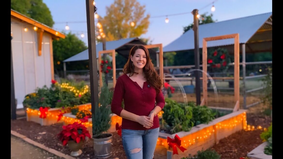 Garden Design Ideas: Holiday Decor and DIY Inspiration for Raised Garden Beds