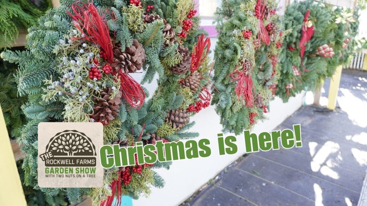 Christmas Trees and Holiday Goodies! | Rockwell Farms Garden Show #20