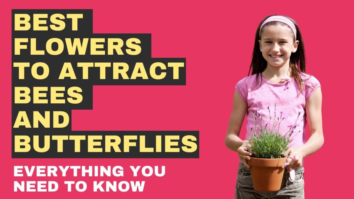Best Flowers To Attract Bees And Butterflies Best Flowers To Attract Bees And Butterflies