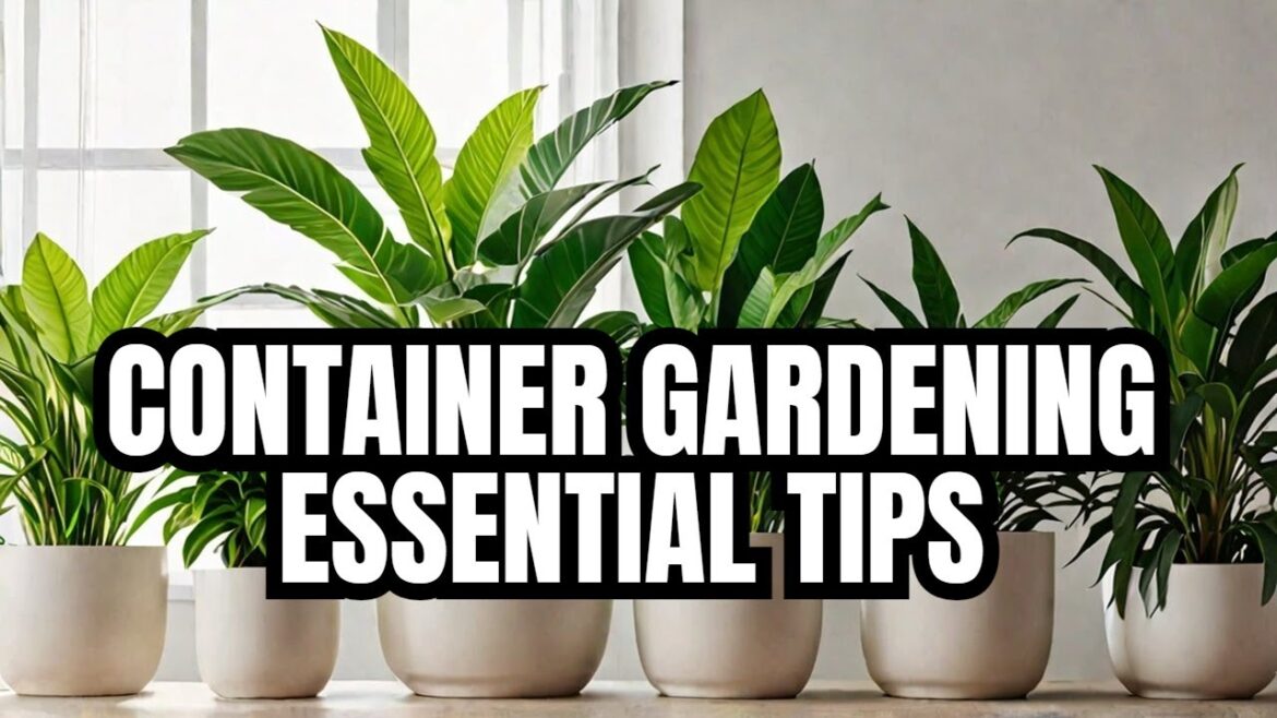 WARNING Don't Start Container Gardening Without Knowing These Essential Tips!