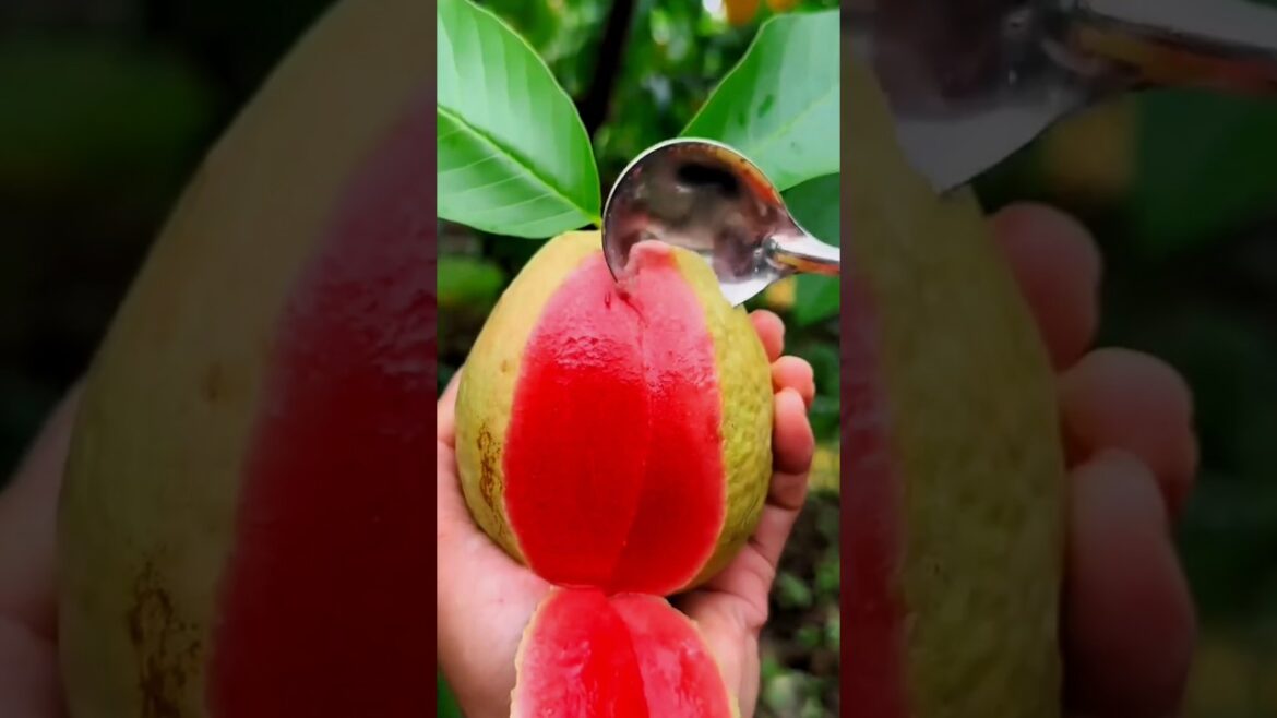 Harvesting some fresh and delicious fruits 😋🍎🍓🥑🥭🍊 #shorts #nature #fruit #garden
