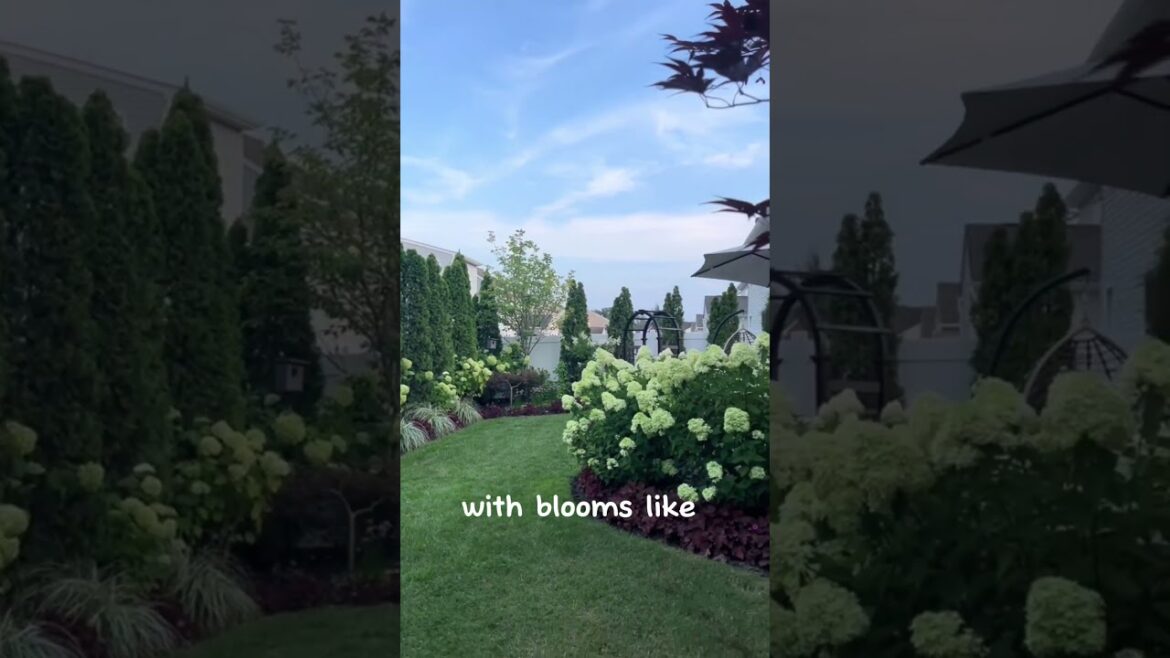 Front Yard entrance ideas special for your house