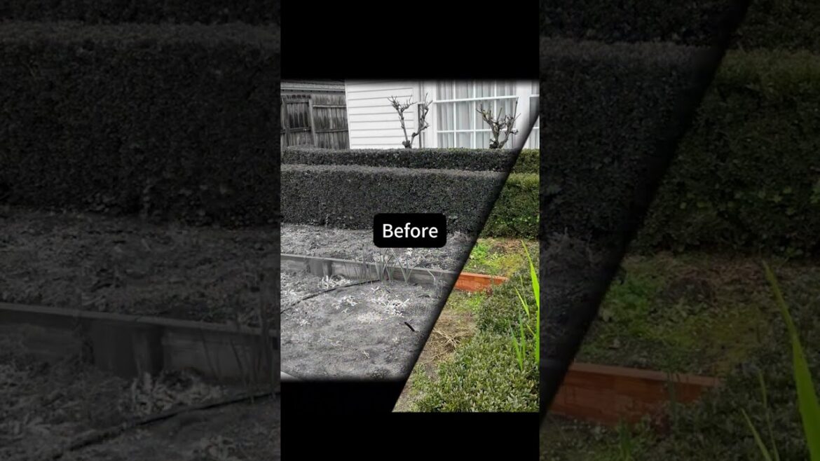 A Glimpse at Some of Our Garden Design Transformations.