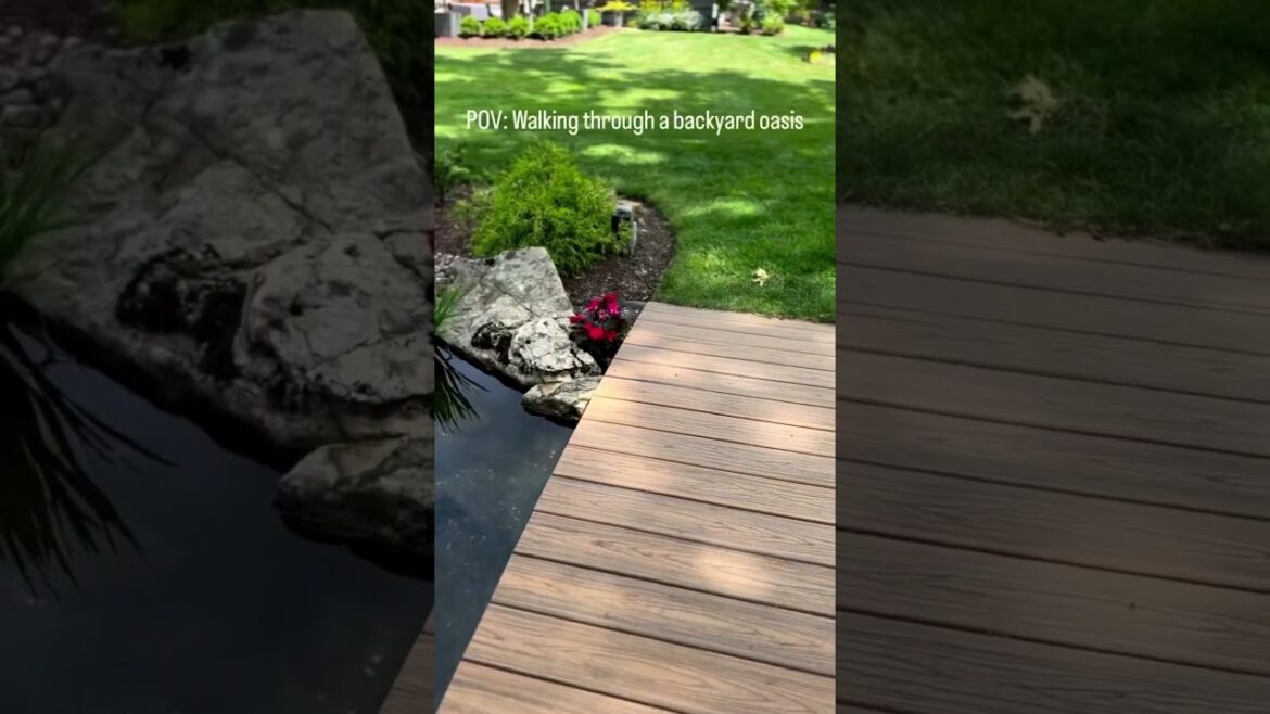 Perfect Backyard Inspiration! #shorts Perfect Backyard Inspiration! #shorts