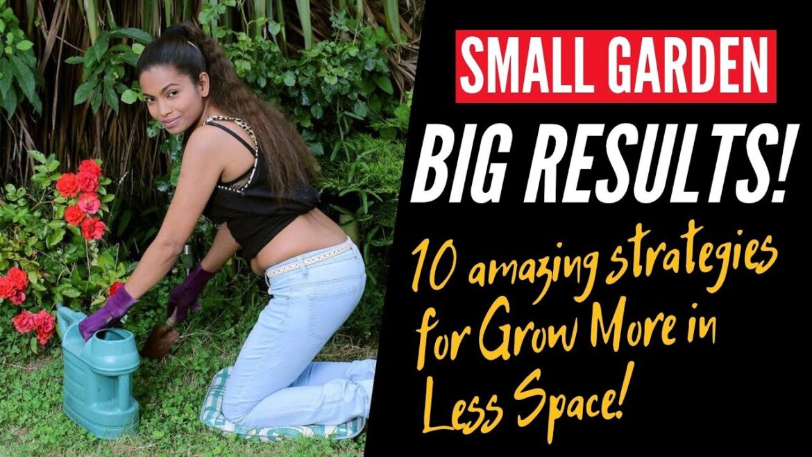 gardening tips for 2025 |small space gardening|apartment gardening ideas|#gardening indoor gardening