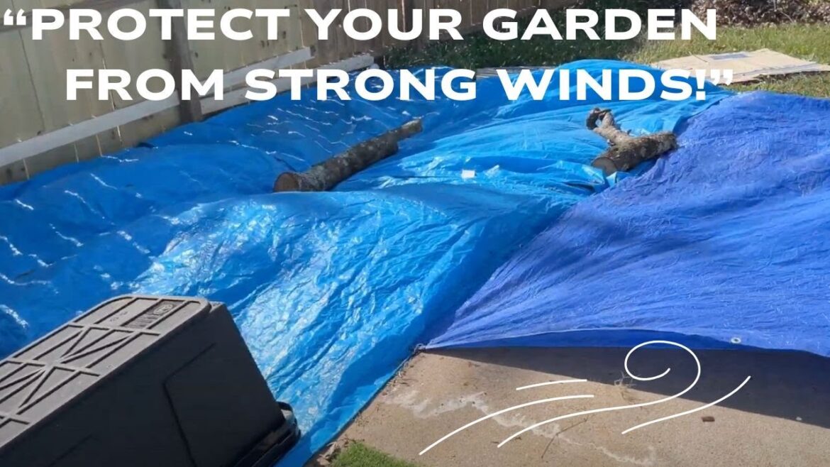 Strong Wind Backyard Clean-Up & Garden Plans for Protection