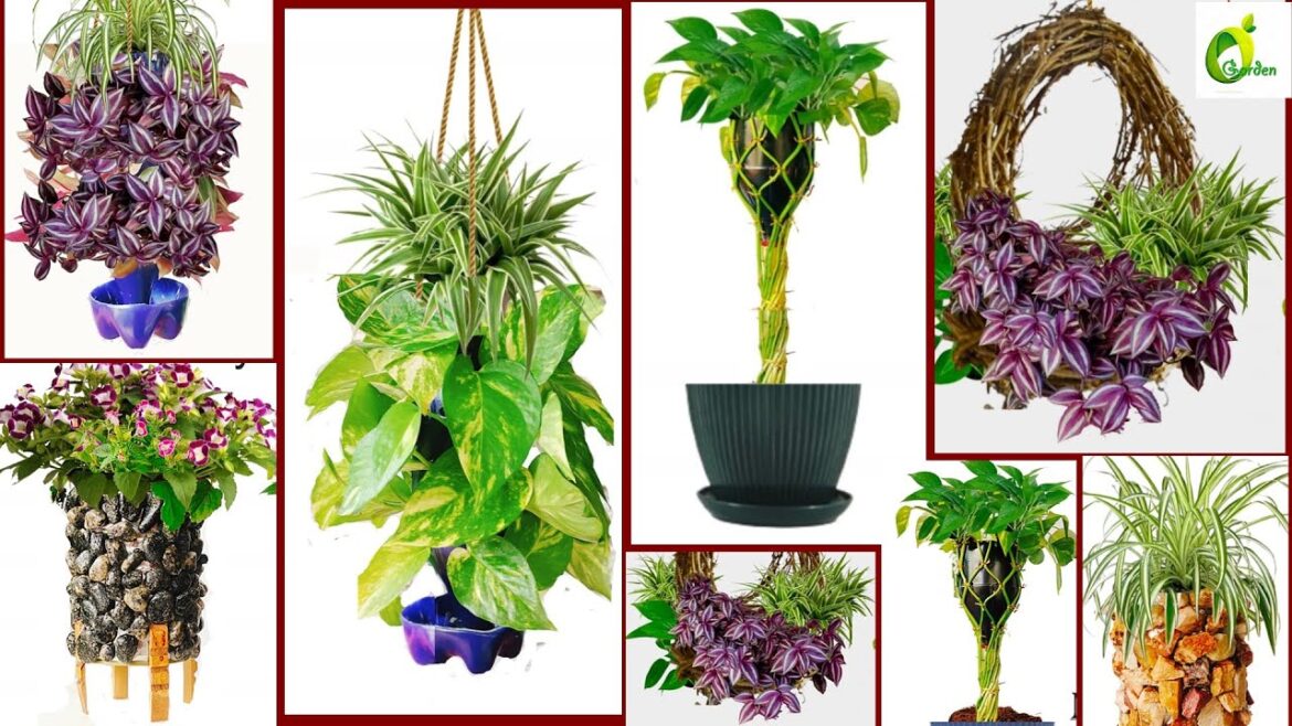 4 Garden Decoration Ideas At Home/Small Garden Ideas In Front Of House/Garden Ideas/ORGANIC GARDEN