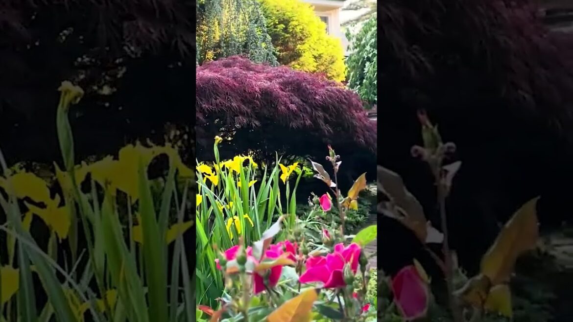 Easy Garden Landscaping Hacks to Make Your Yard Look Amazing!