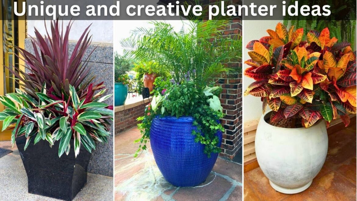 Unique planter designs for small spaces | Unique and creative planter ideas #planter#pot#garden Unique planter designs for small spaces | Unique and creative planter ideas #planter#pot#garden