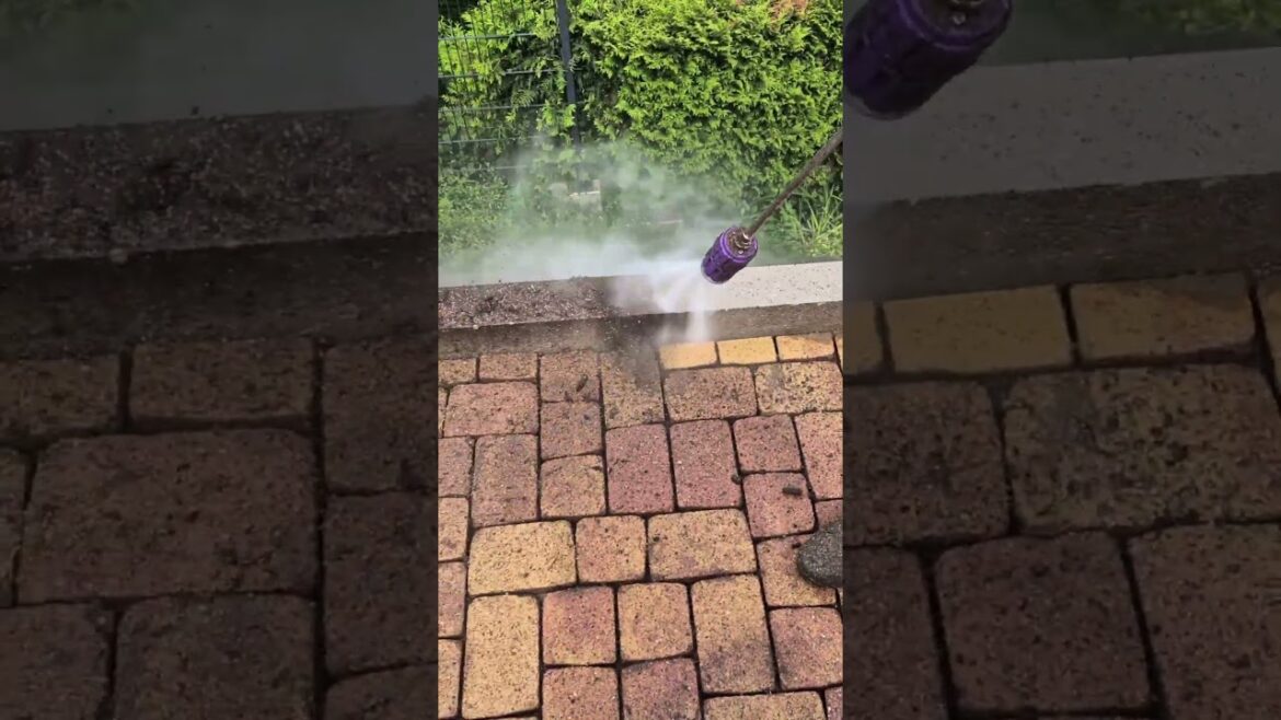 Satisfying Garden Cleaning Compilation 🌿🧹