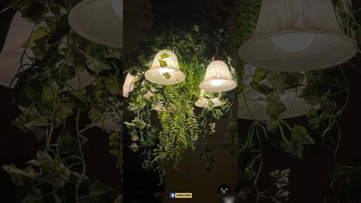 Xmas Lights Decoration IDEAS/christmas light Decoration ππ
#trending #ytshorts #Shorts #viralshorts Xmas Lights Decoration IDEAS/christmas light Decoration ππ
#trending #ytshorts #Shorts #viralshorts