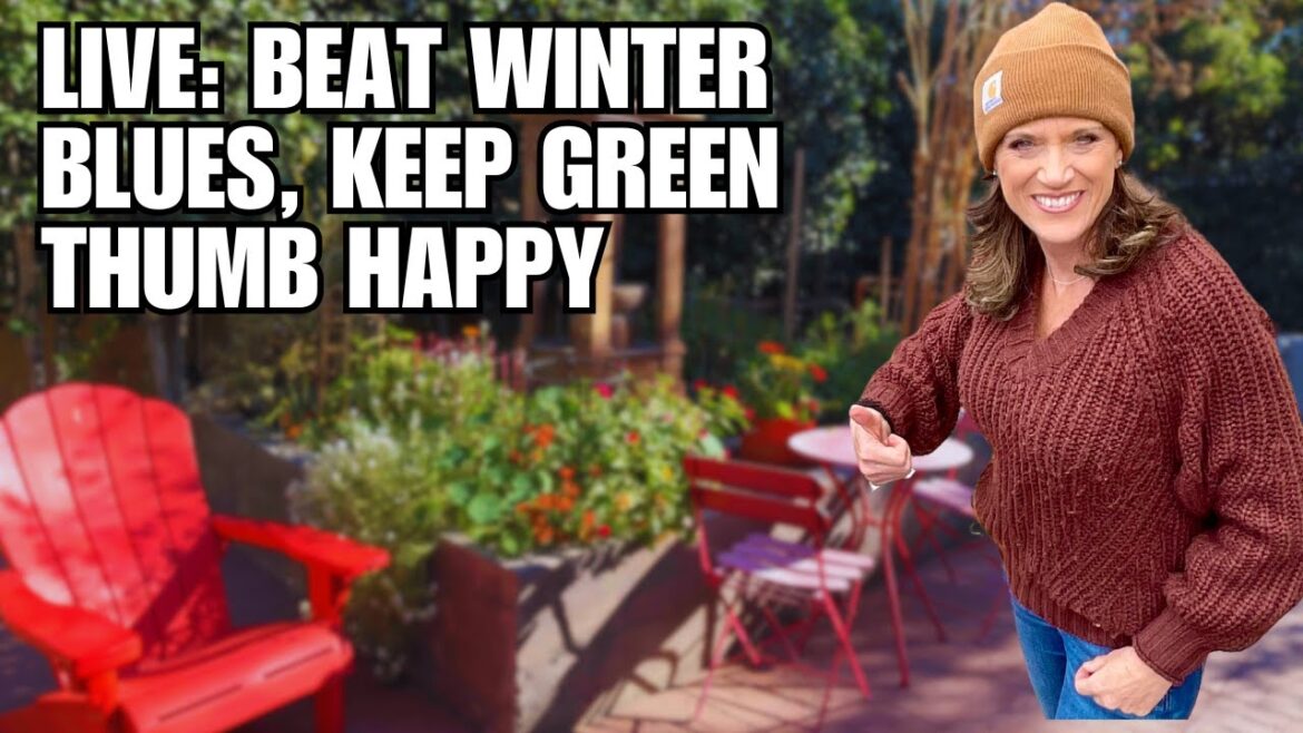 CaliKim: š„¶ Live: How to Beat the Winter Blues and Keep Your Green Thumb Happy š„¶ Live: How to Beat the Winter Blues and Keep Your Green Thumb Happy