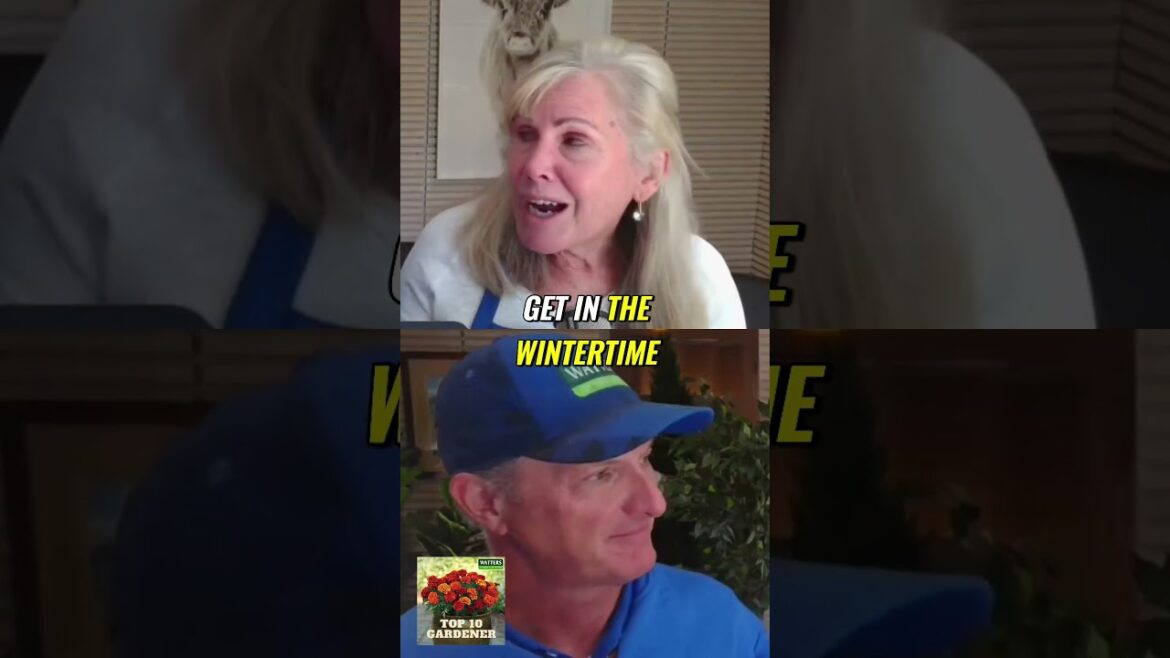 Discover Stunning Bamboo Varieties for Your Garden Discover Stunning Bamboo Varieties for Your Garden