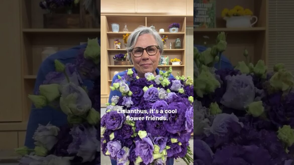 Did you order Lisianthus plugs? Hop to it! @farmerbaileyplugs #gardenersworkshopfarm Did you order Lisianthus plugs? Hop to it! @farmerbaileyplugs #gardenersworkshopfarm