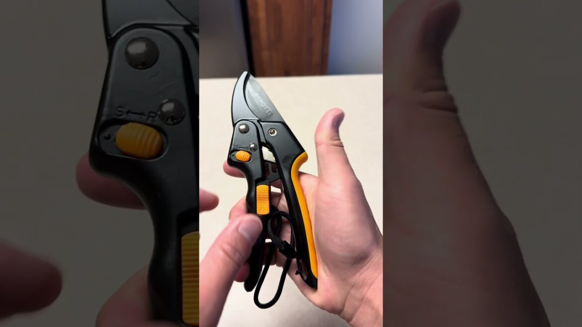 Effortless Gardening: Heavy-Duty Ratchet Pruning Shears Review! Effortless Gardening: Heavy-Duty Ratchet Pruning Shears Review!