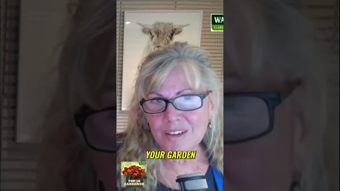 Transform Your Garden  Stunning Grasses for Texture