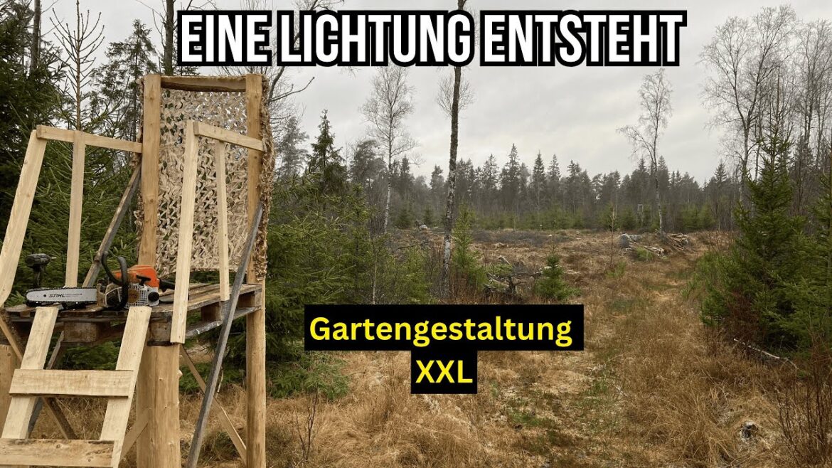 Waldwiese anlegen, Gartengestaltung XXL / Eine Lichtung entsteht Waldwiese anlegen, Gartengestaltung XXL / Eine Lichtung entsteht