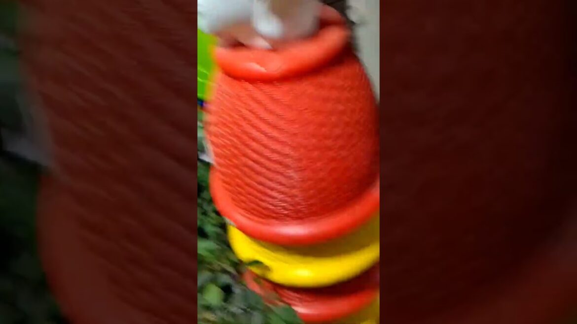 Asansol nodiya Market plant nursery #plantnursery