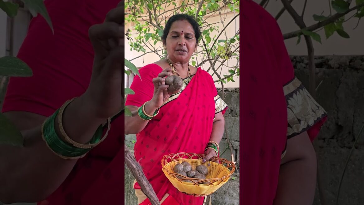 సవత్సరం పాటు నిల్వ ఉండే కూరగాయ #terracegardentelugu #airpotato #gardening సవత్సరం పాటు నిల్వ ఉండే కూరగాయ #terracegardentelugu #airpotato #gardening