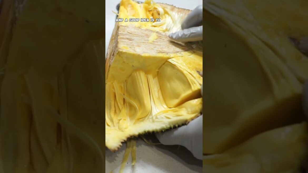 California Gardening: Discover Jackfruit: The Tropical Superfruit! Discover Jackfruit: The Tropical Superfruit!