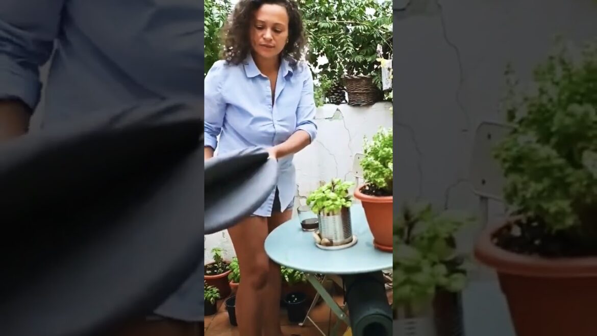 The Hidden Benefits of Urban Gardening The Hidden Benefits of Urban Gardening