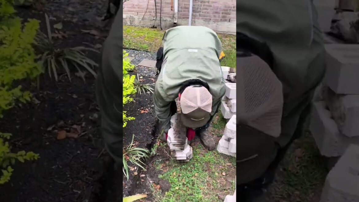 Front Yard Inspiration