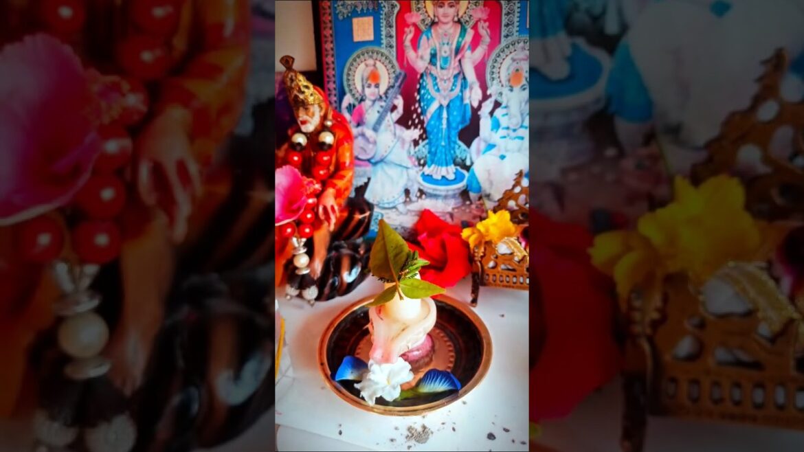 बेलपत्र और 3 शमी पत्र शिव जी को क्यों चढ़ाए#youtubeshorts #shortsfeed #reels #viralvideo #trending