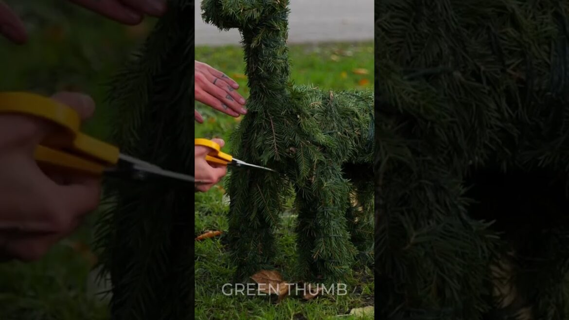 Cool idea to get your backyard and garden ready for the upcoming holiday ๐๐ฆ Cool idea to get your backyard and garden ready for the upcoming holiday ๐๐ฆ