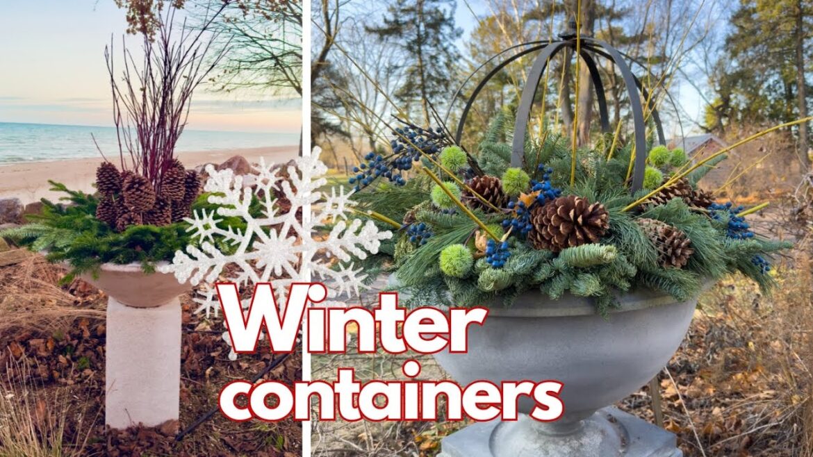 7 winter containers 🌲From simple to wild